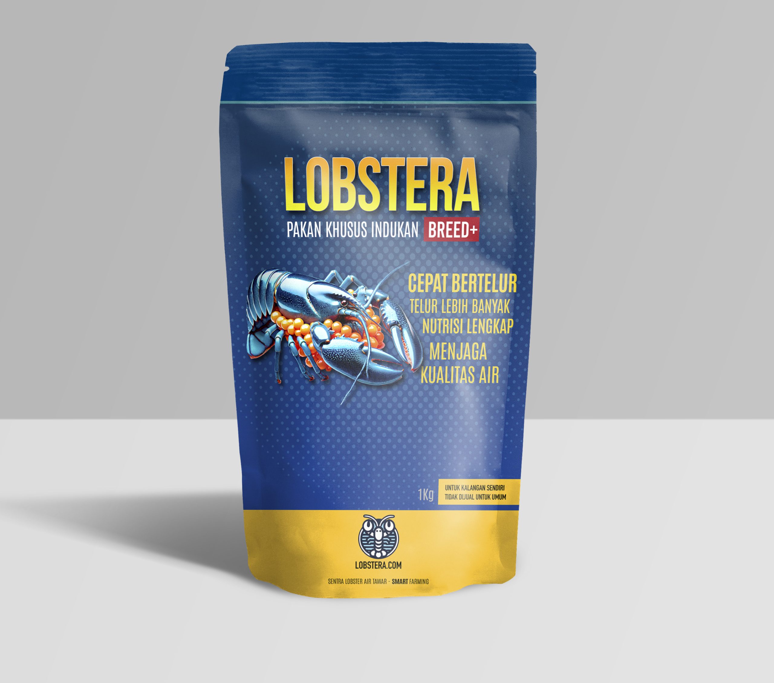 LOBSTERA BREED+