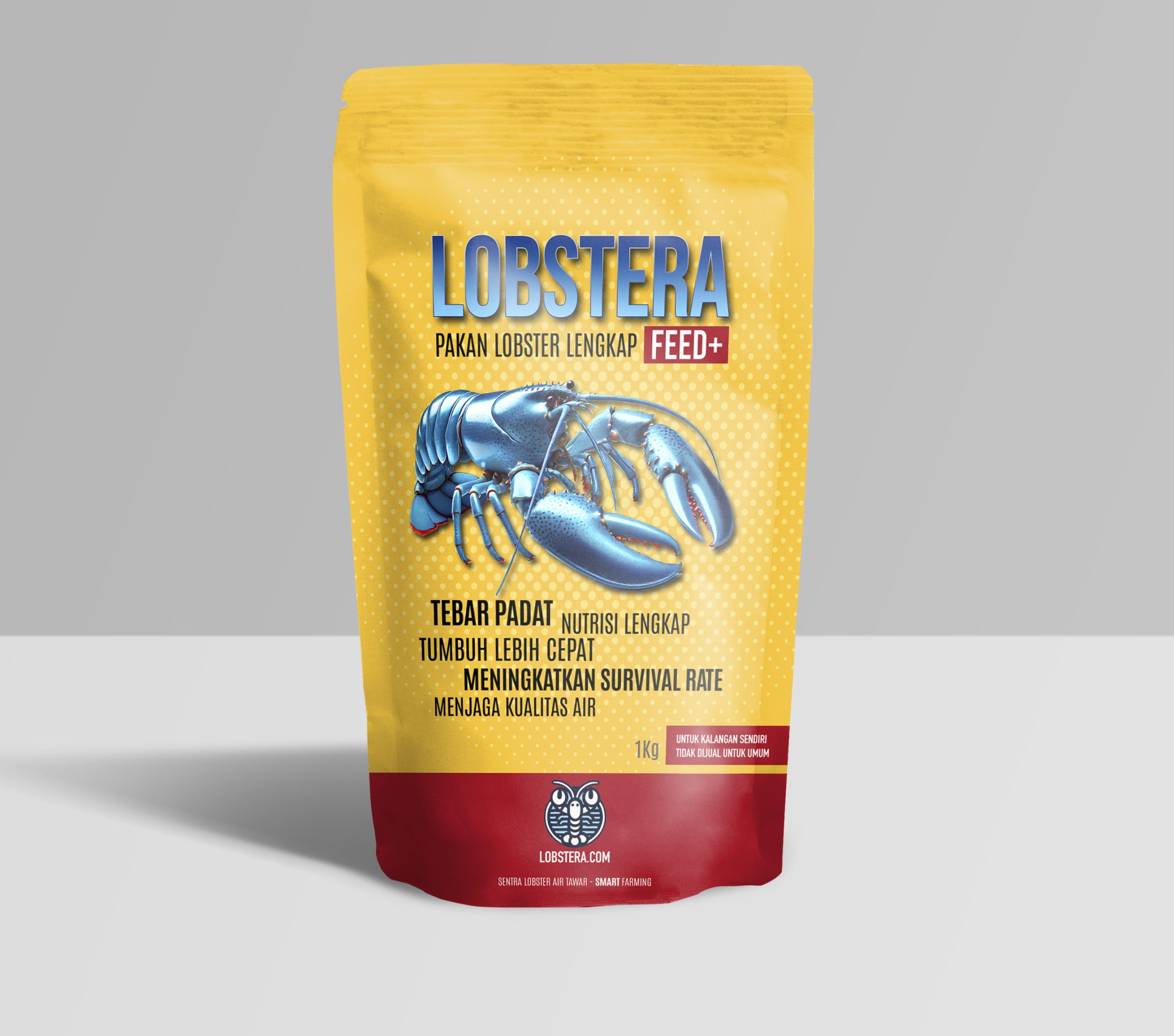 LOBSTERA FEED+